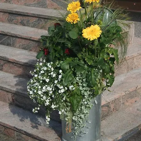 Haus Binder Pensionat 3*