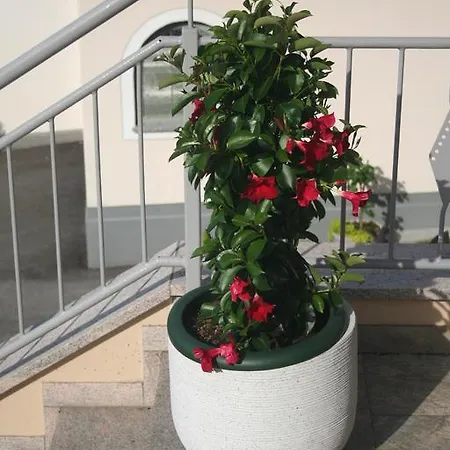 Haus Binder Ried im Zillertal