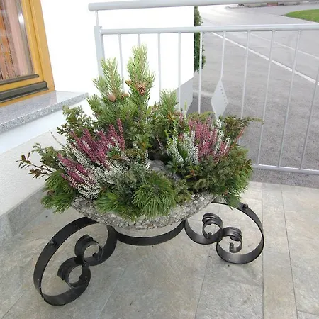 Haus Binder Гостевой дом 3*