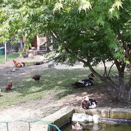 Haus Binder Pensionat 3*