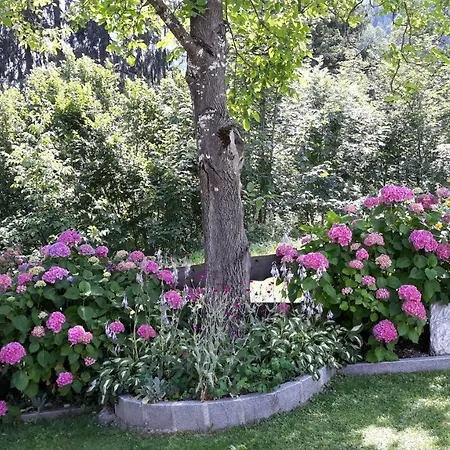 Haus Binder Pensionat