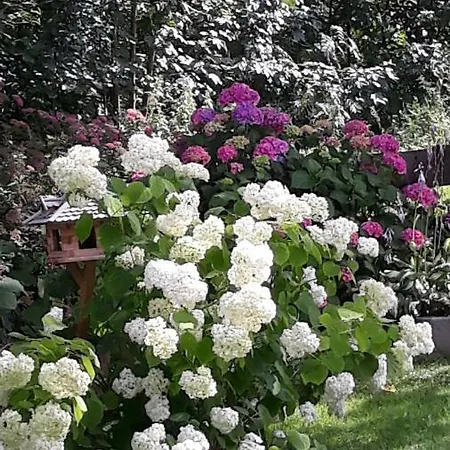 Haus Binder Pensionat