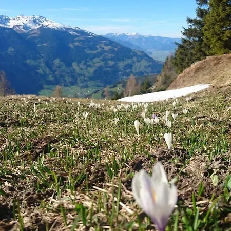 Haus Binder Ried im Zillertal