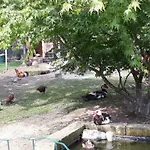 白恩德尔之家酒店 招待所 3*